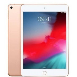 Apple iPad Mini 64 Go WiFi Or 7.9" 2019 5 ème génération