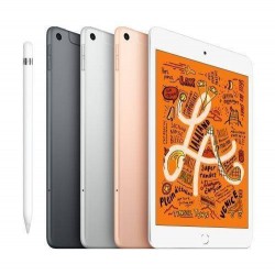 Apple iPad Mini 64 Go WiFi Or 7.9" 2019 5 ème génération