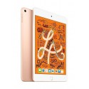 Apple iPad Mini 64 Go WiFi Or 7.9" 2019 5 ème génération