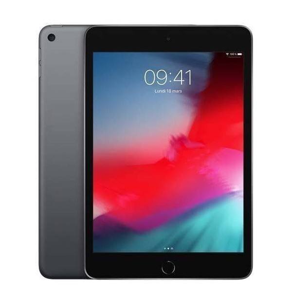 Apple iPad Mini 64 Go WiFi Gris sidéral 7.9" 2019 5 ème génération